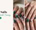 Winter Nails ideas