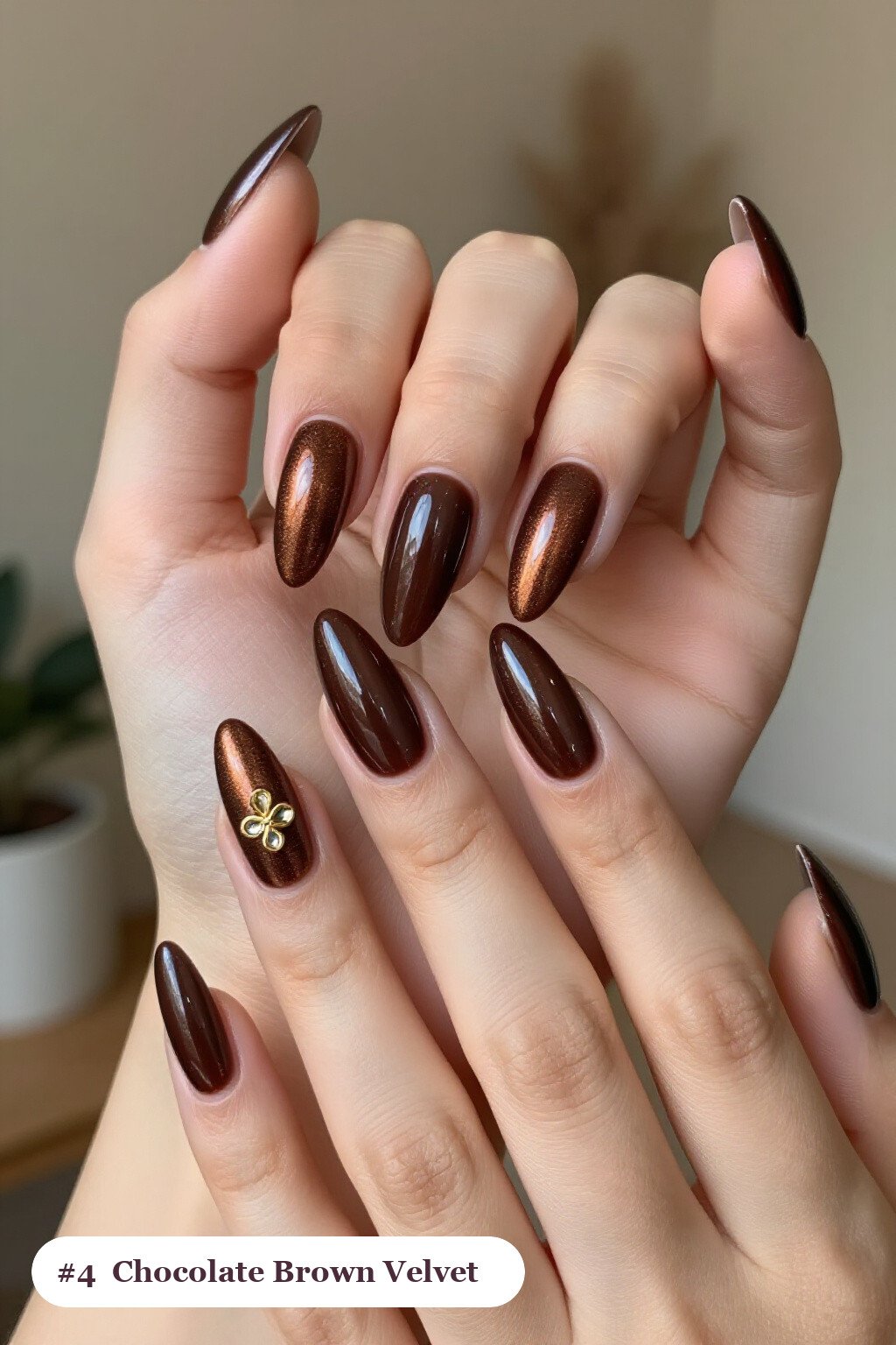 Long Stiletto Chocolate Brown Velvet Shimmer with Gold Charm Accent - simple fall nails Long Stiletto Chocolate Brown Velvet Shimmer with Gold Charm Accent - simple fall nails